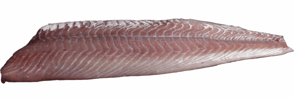 Seelachsfilet ohne Haut Zeelandia van Belzen Fischgroßhandel