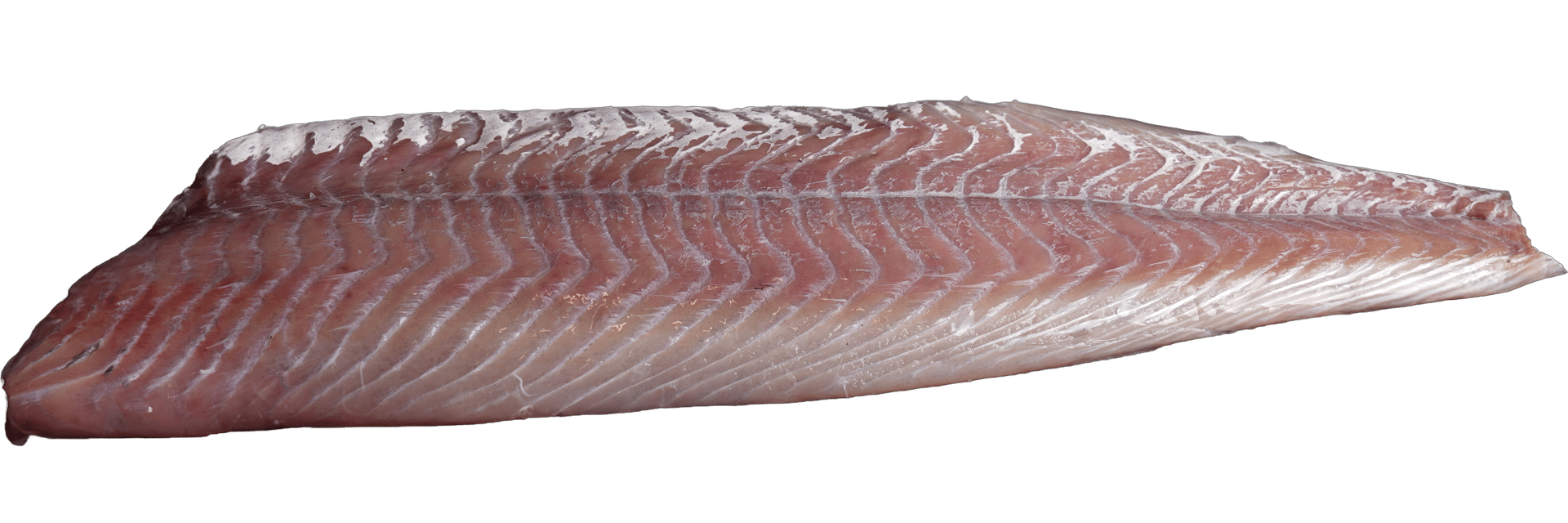 Seelachsfilet ohne Haut Zeelandia van Belzen Fischgroßhandel