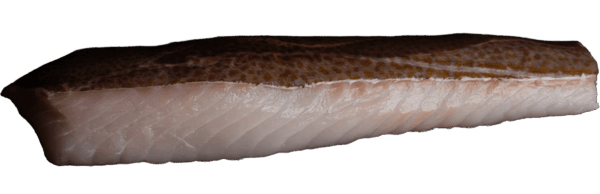 Kabeljauloins mit Haut Zeelandia van Belzen Fischgroßhandel