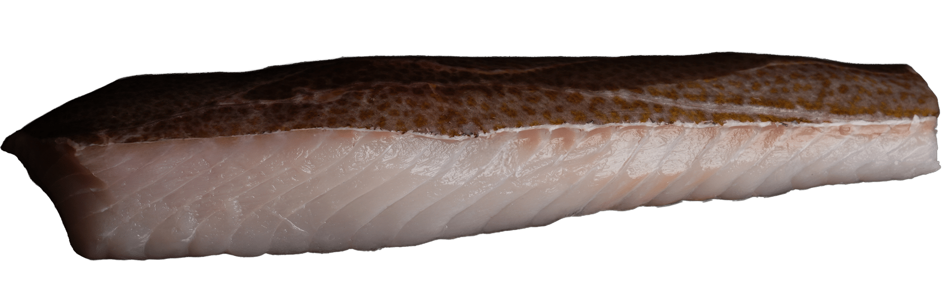 Kabeljauloins mit Haut Zeelandia van Belzen Fischgroßhandel