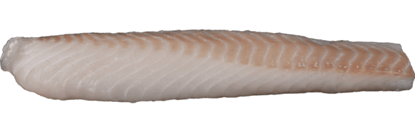 Kabeljauloins ohne Haut Zeelandia van Belzen Fischgroßhandel