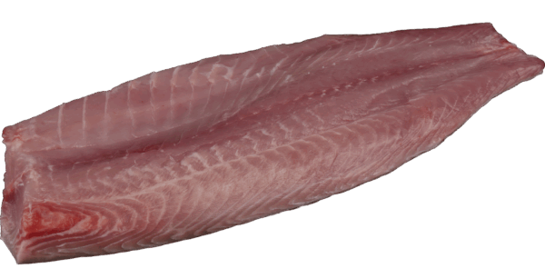 Karpfenfilet ohne Haut Zeelandia van Belzen Fischgroßhandel
