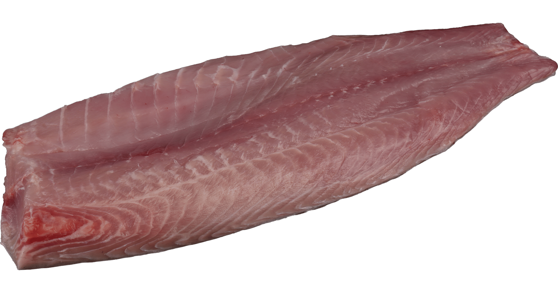 Karpfenfilet ohne Haut Zeelandia van Belzen Fischgroßhandel