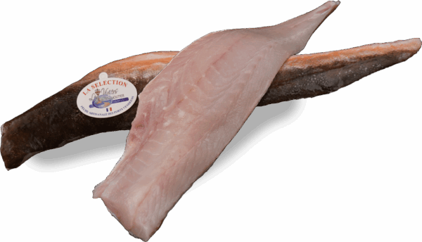 Knurrhahnfilet Zeelandia van Belzen Fischgroßhandel