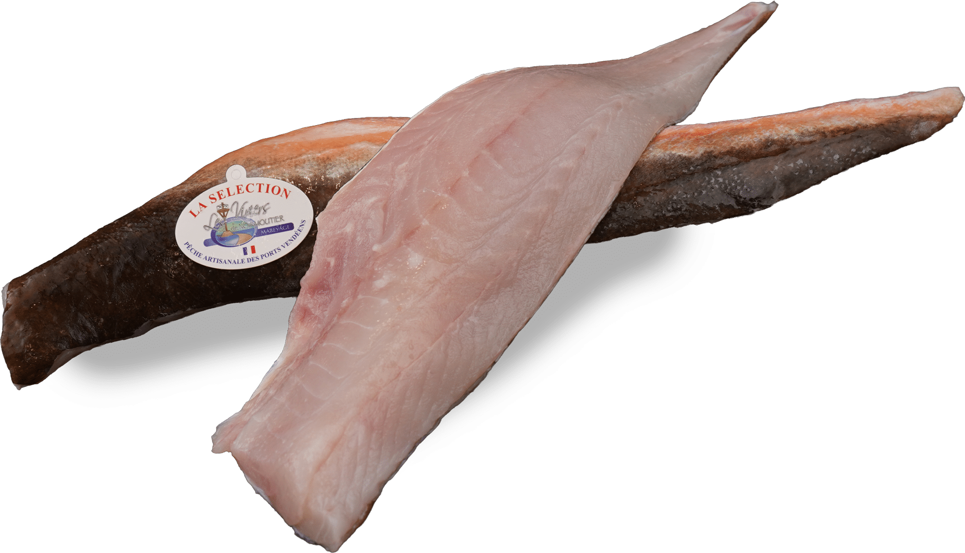 Gurnard-flís, Zeelandia van Belzen fiskiholssalar