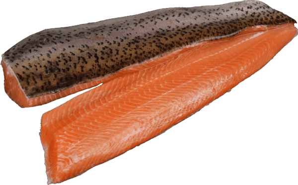 Lachsforellenfilet Zeelandia van Belzen Fischgroßhandel