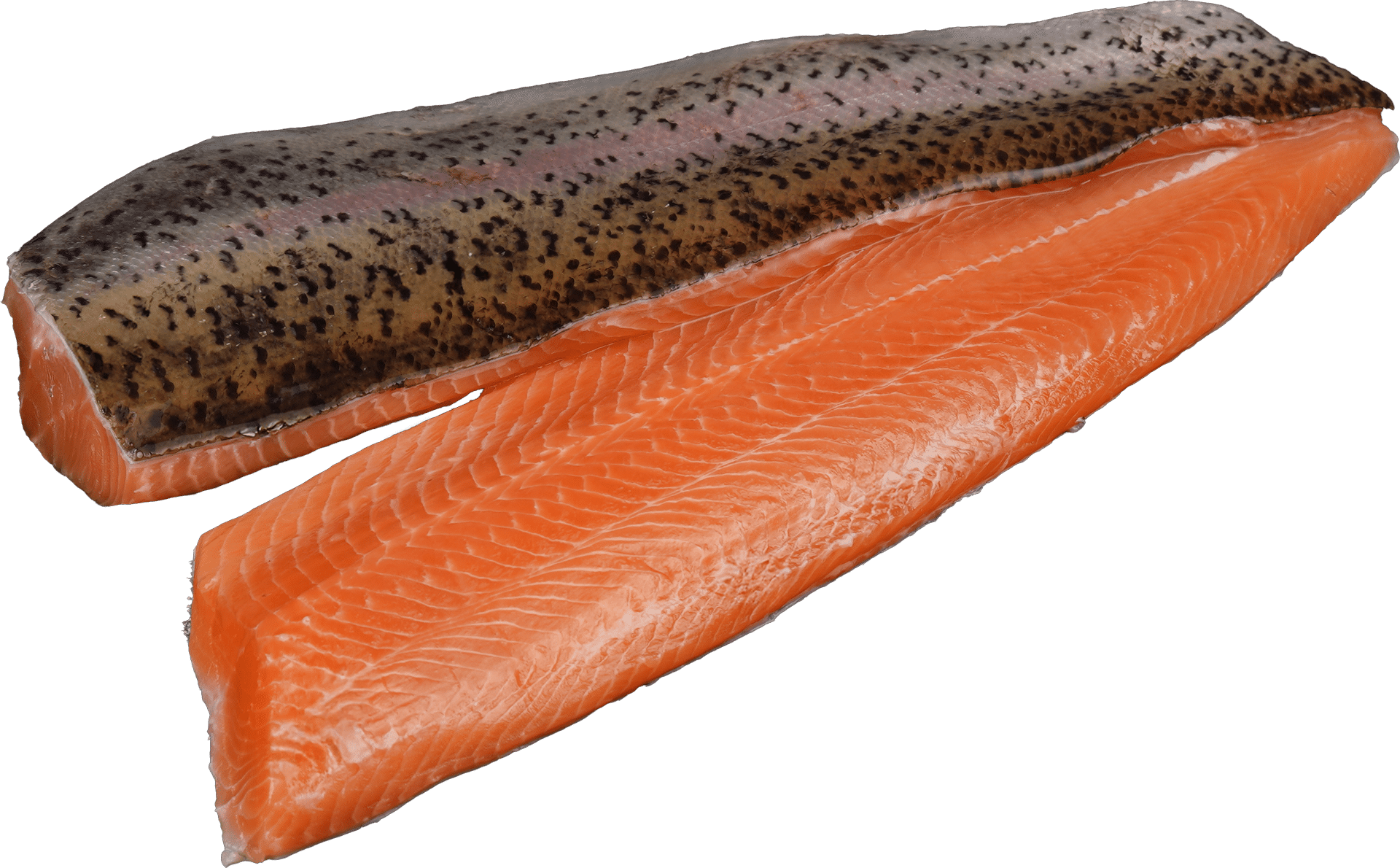 Lachsforellenfilet Zeelandia van Belzen Fischgroßhandel