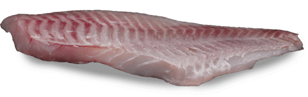 Rotbarschfilet ohne Haut Zeelandia van Belzen Fischgroßhandel
