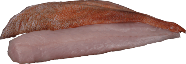 Rotbarschfilet mit Haut Zeelandia van Belzen Fischgroßhandel