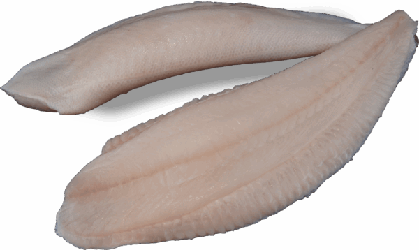 Schollenfilet mit Haut Zeelandia van Belzen Fischgroßhandel