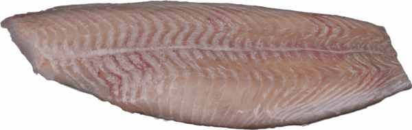 Schollenfilet ohne Haut Zeelandia van Belzen Fischgroßhandel