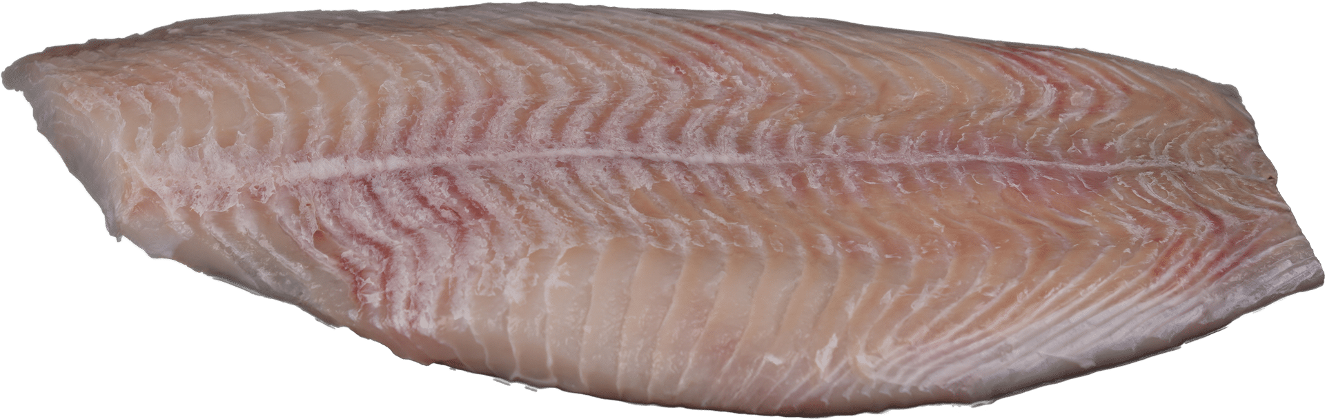 Schollenfilet ohne Haut Zeelandia van Belzen Fischgroßhandel
