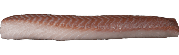 Seelachs Loins ohne Haut Zeelandia van Belzen Fischgroßhandel