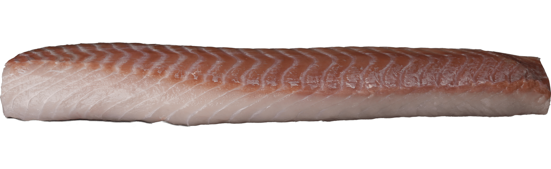 Seelachs Loins ohne Haut Zeelandia van Belzen Fischgroßhandel
