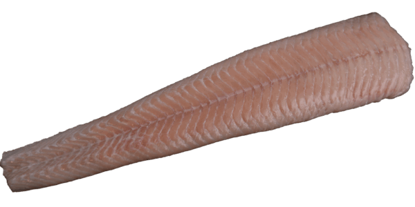 Steinbeißerfilet Zeelandia van Belzen Fischgroßhandel