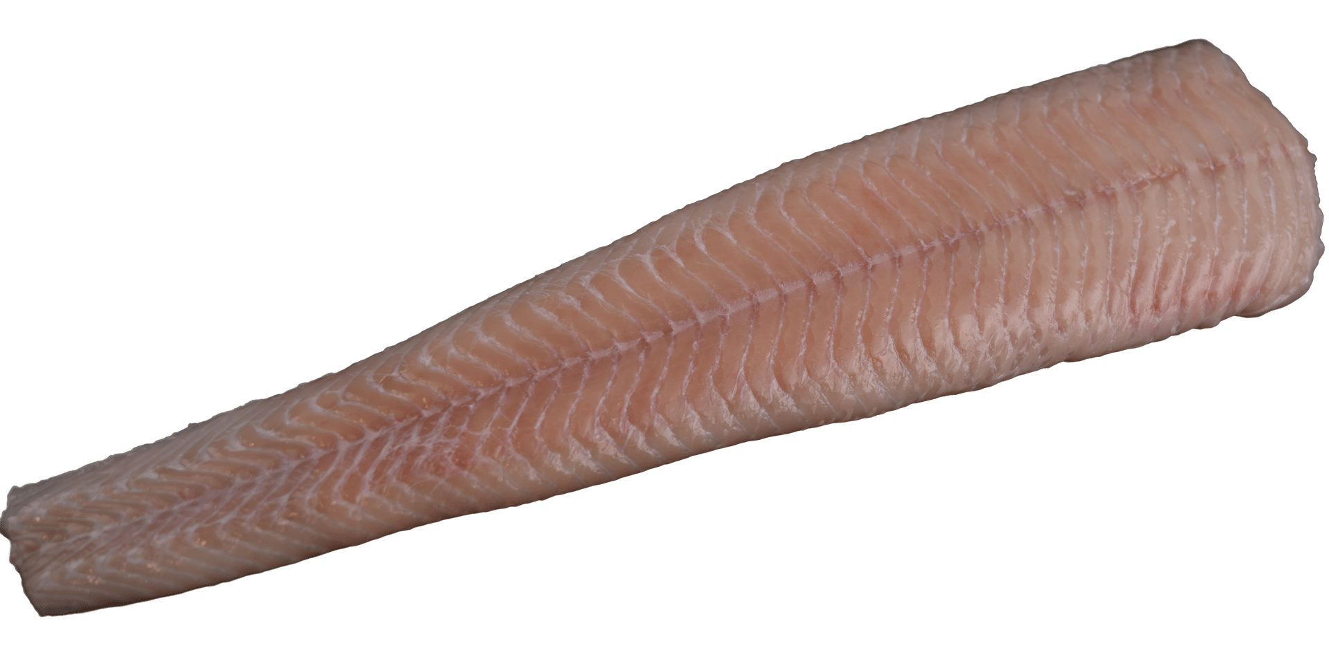 Steinbeißerfilet Zeelandia van Belzen Fischgroßhandel