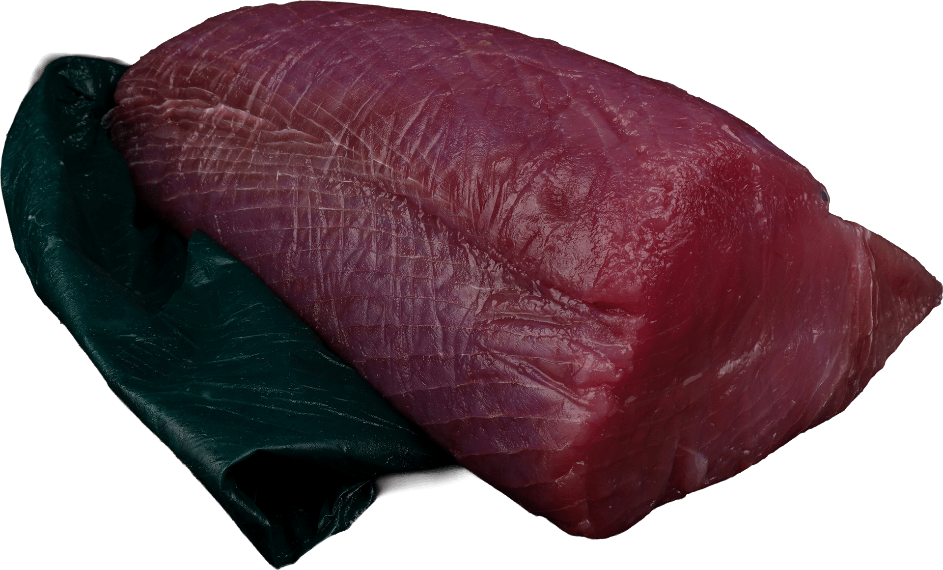 Lomos de atún paño verde Zeelandia van Belzen Comercio mayorista de pescado