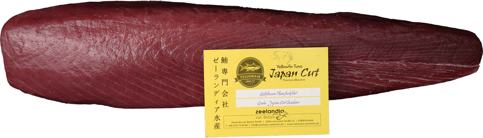 Tonijn Japanse Snede Zeelandia van Belzen Visgroothandel