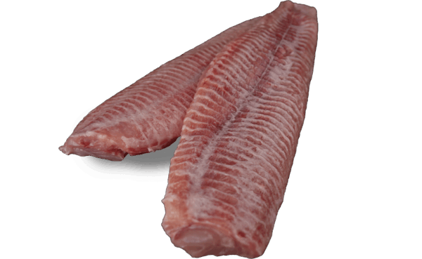 Welsfilet Zeelandia van Belzen Fischgroßhandel
