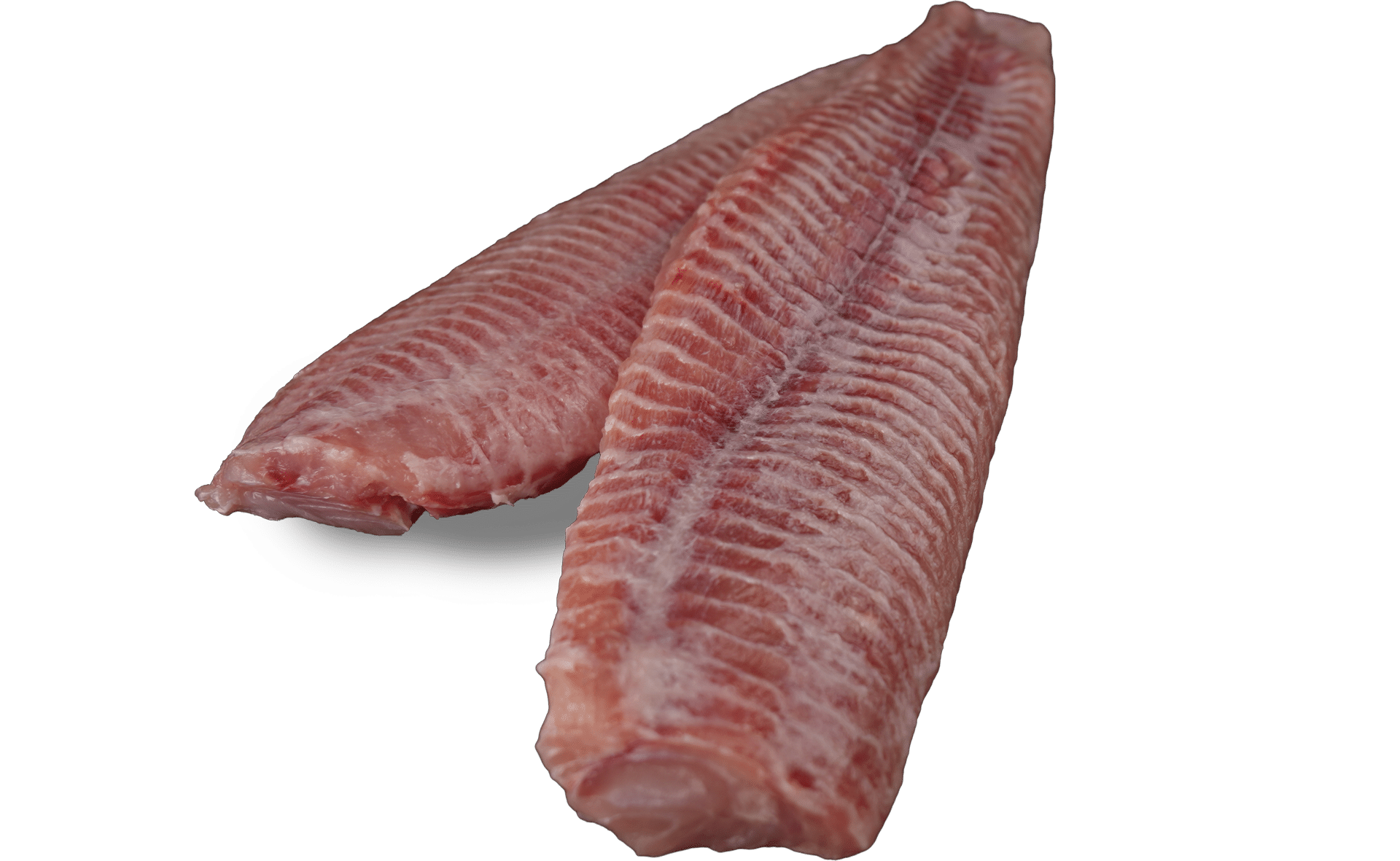 Welsfilet Zeelandia van Belzen Fischgroßhandel