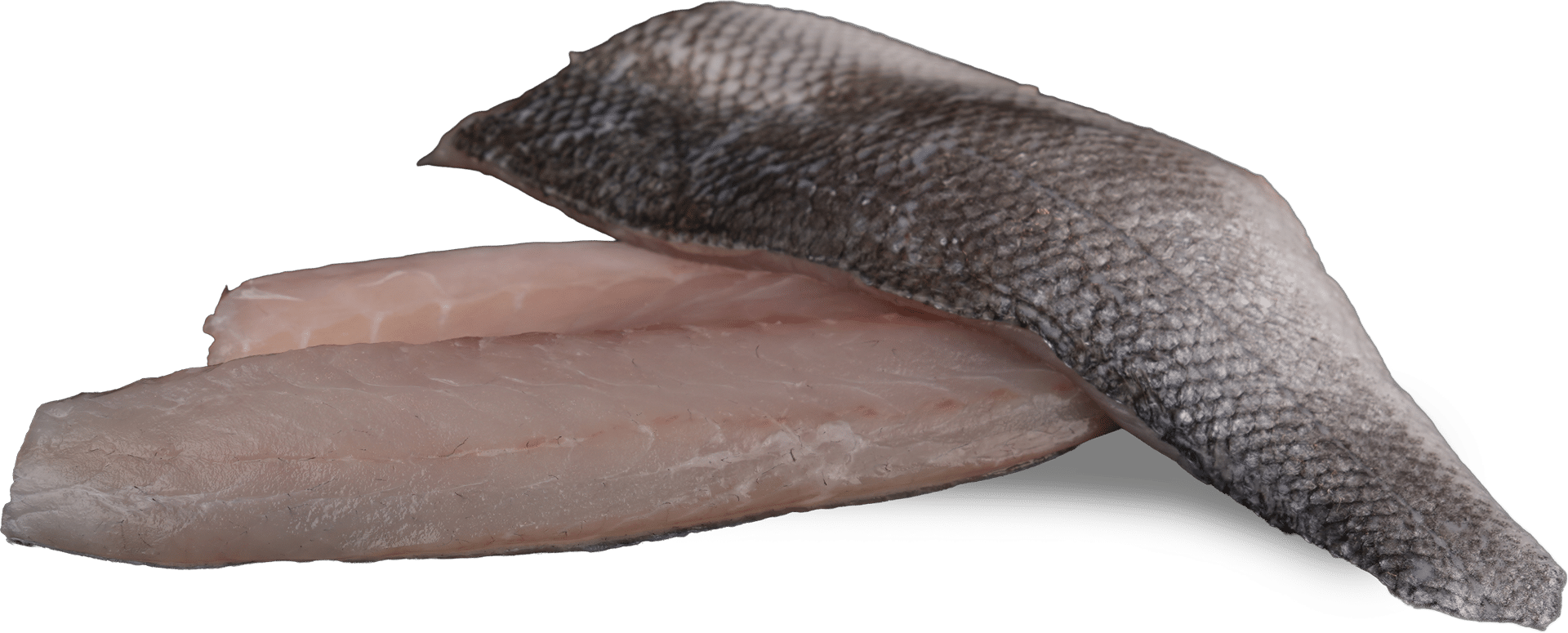 Wolfsbarschfilet mit Haut Zeelandia van Belzen Fischgroßhandel