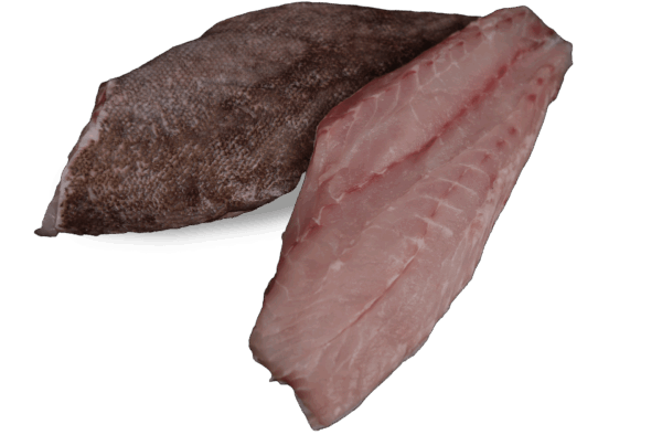 Zackenbarschfilet Zeelandia van Belzen Fischgroßhandel