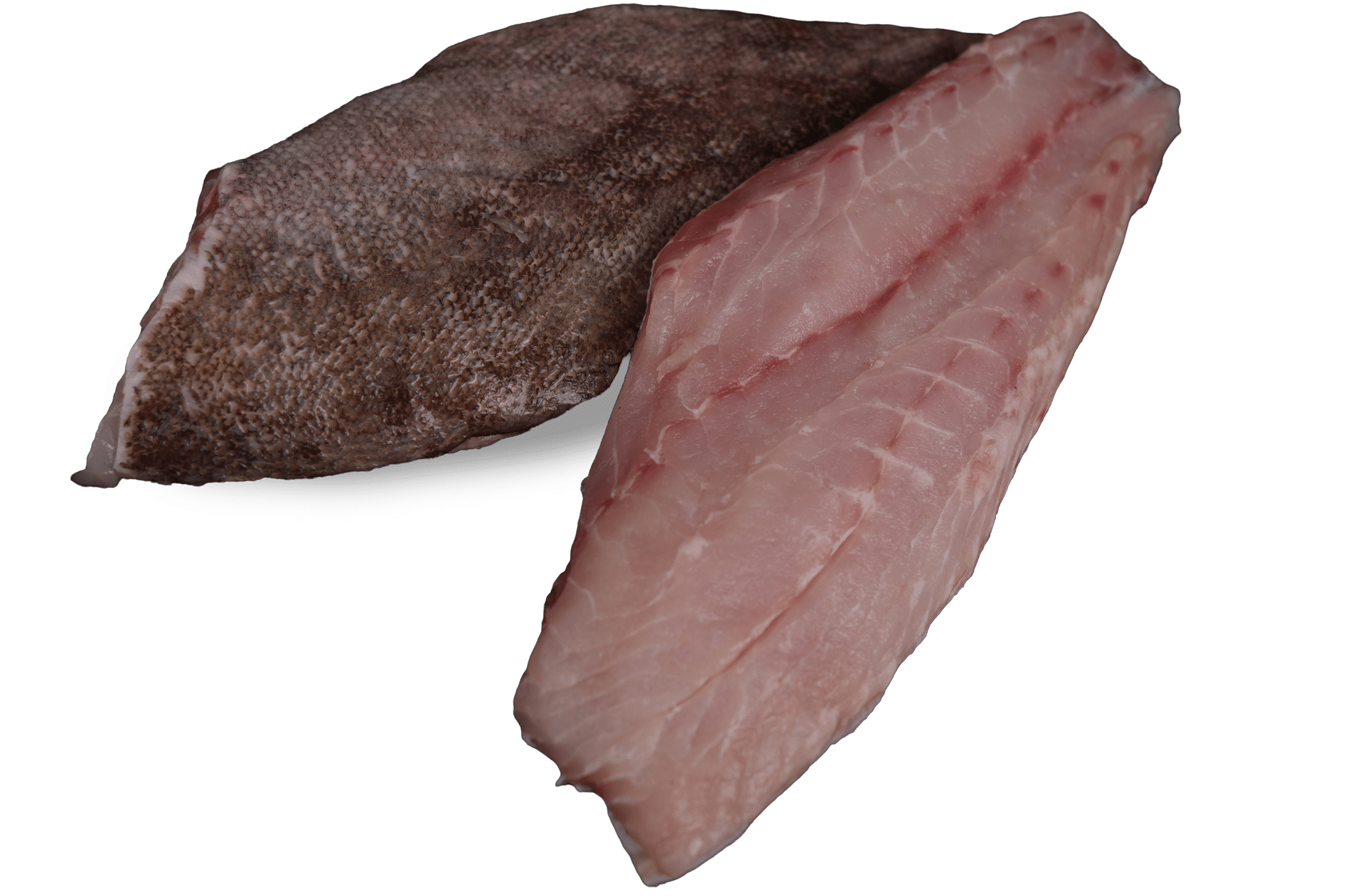 Zeelandia Zackenbarschfilet van Belzen Fischgroßhandel