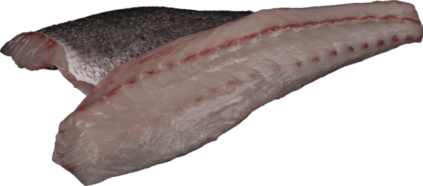 Adlerfischfilet mit Haut Zeelandia van Belzen Fischgroßhandel