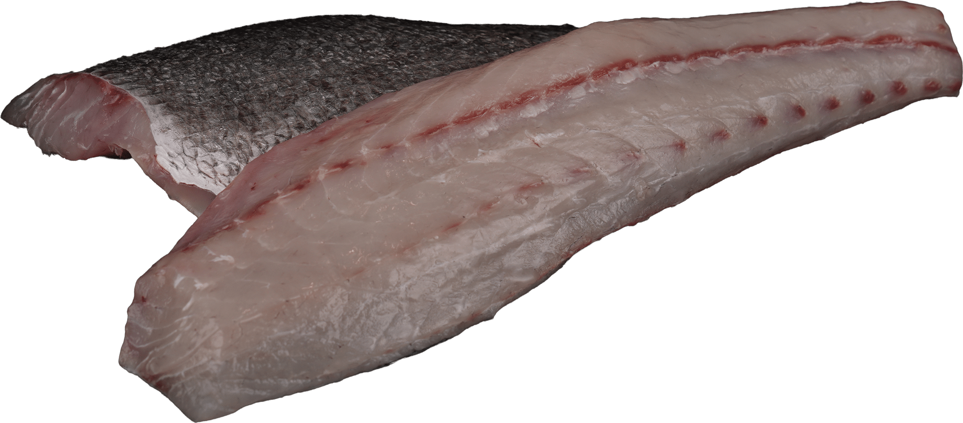 Adlerfischfilet mit Haut Zeelandia van Belzen Fischgroßhandel