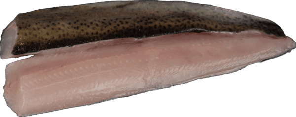 Forellenfilet mit Haut Zeelandia van Belzen Fischgroßhandel