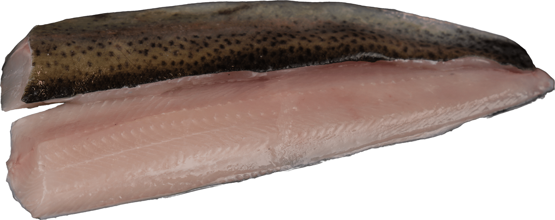 Forellenfilet mit Haut Zeelandia van Belzen Fischgroßhandel