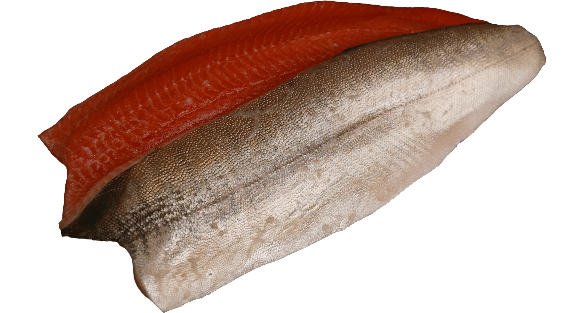 0047_Arktisches-Saiblingsfilet