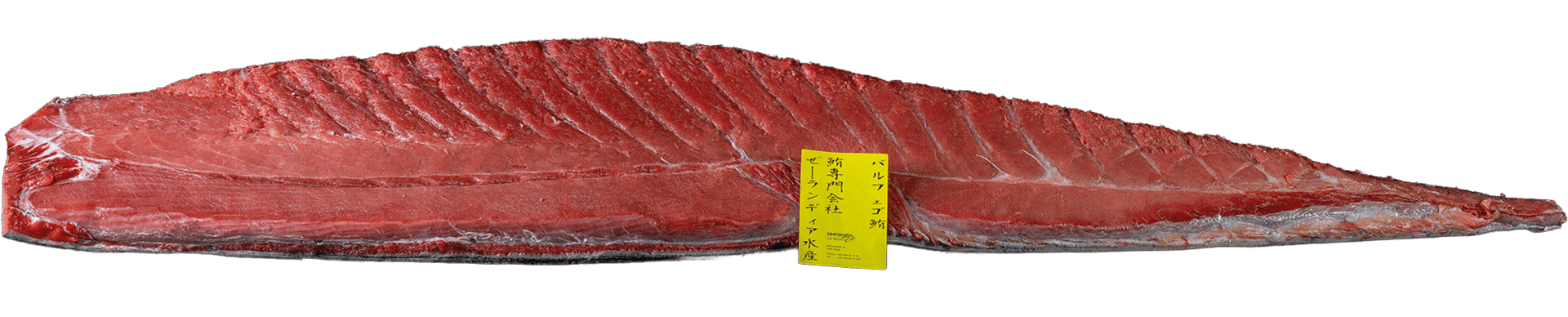 0050_Bluefin_Thunfisch-Loin_mit-Haut