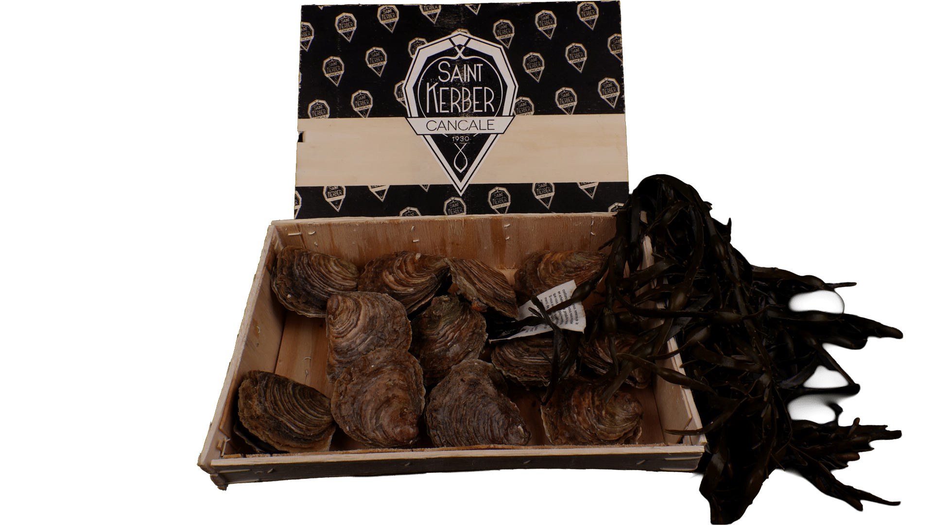 0159_Austern_Kerber