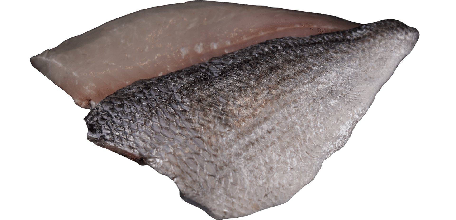 1000_Doradenfilet_mit_Haut