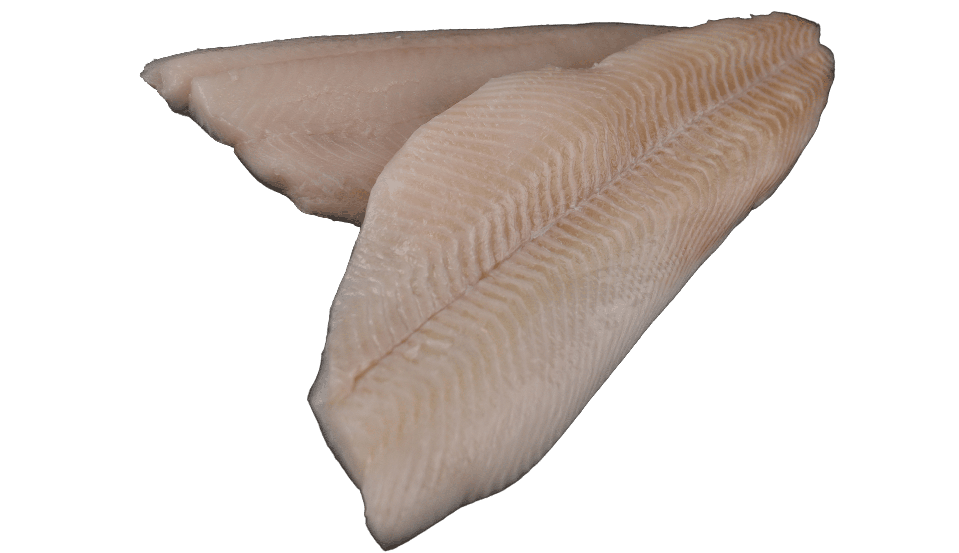 1009_Heillbutfilet_schwarz