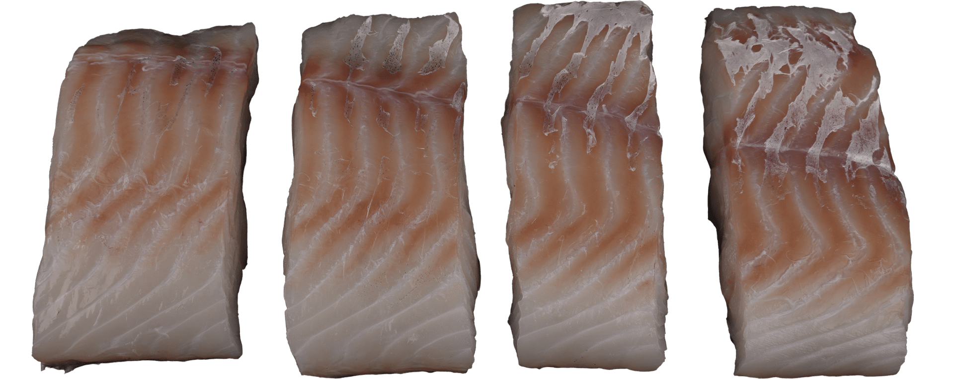 1011_Kabeljaufilet_Portionen