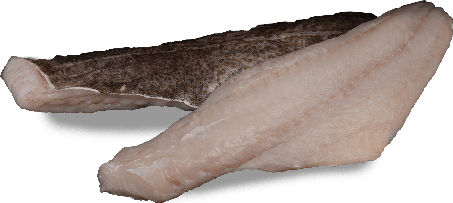 1018_Kabeljaufilet_mit_Haut