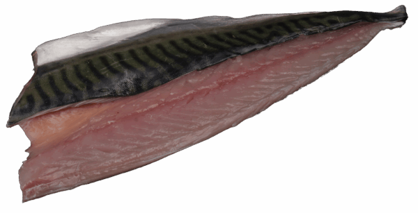 Makrelenfilets Zeelandia van Belzen Fischgroßhandel
