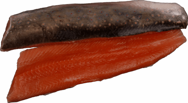 Saiblingsfilet Zeelandia van Belzen Fischgroßhandel