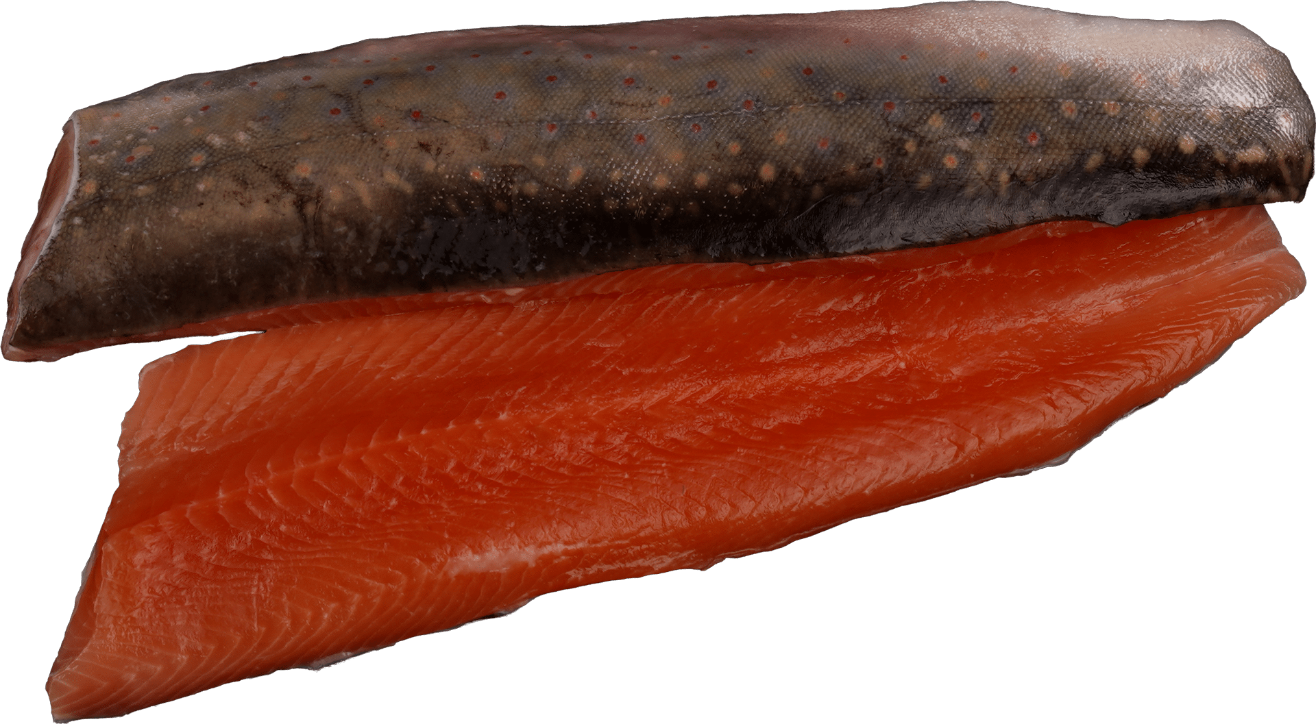 Saiblingsfilet Zeelandia van Belzen Fischgroßhandel
