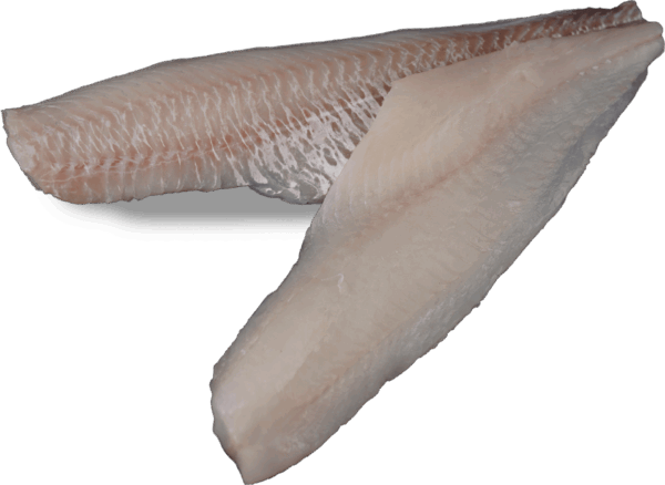 Schellfischfilet ohne oder mit Haut Zeelandia van Belzen Fischgroßhandel