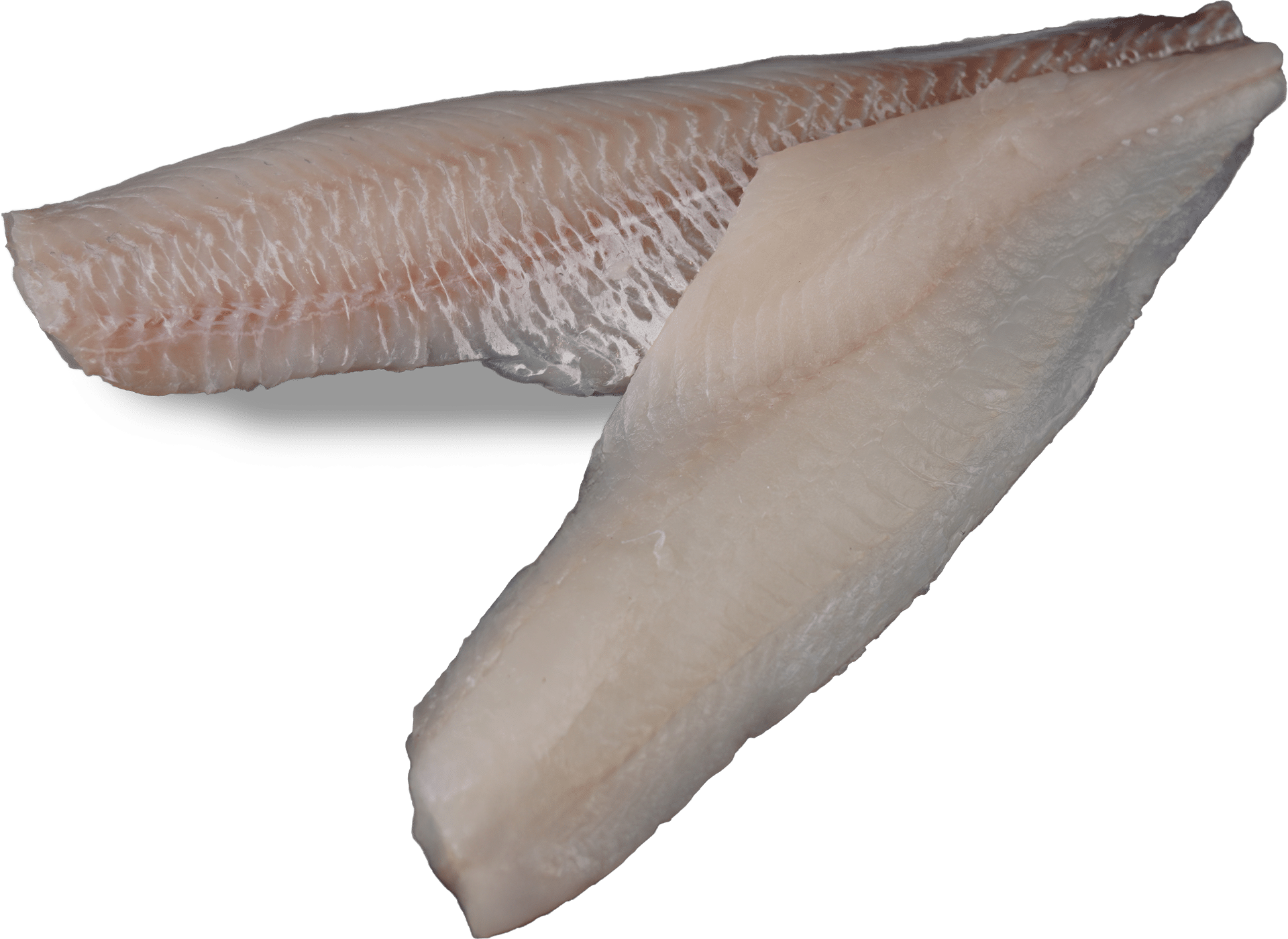 Schellfischfilet ohne oder mit Haut Zeelandia van Belzen Fischgroßhandel