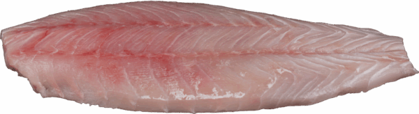 Viktoriabarschfilet Zeelandia van Belzen Fischgroßhandel