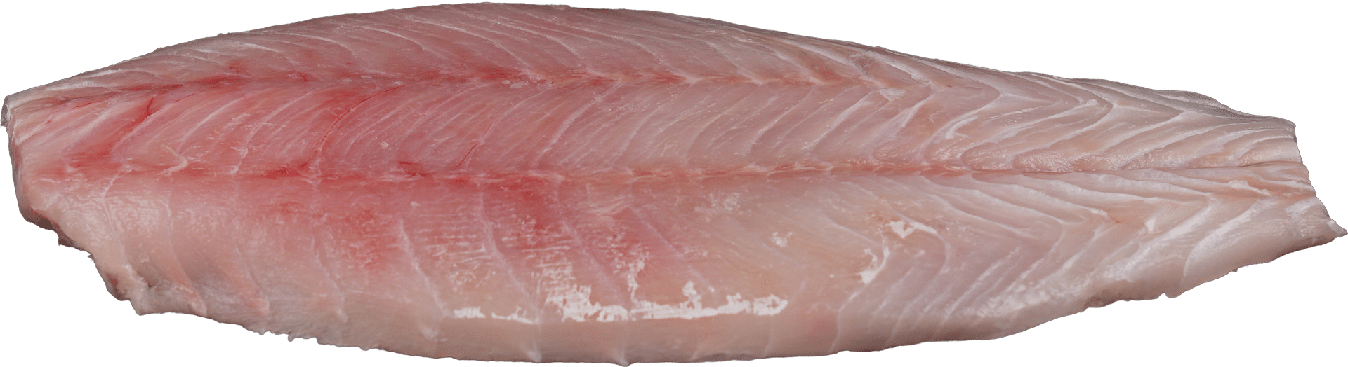 Filete de perca del Nilo Zeelandia van Belzen Pescadería