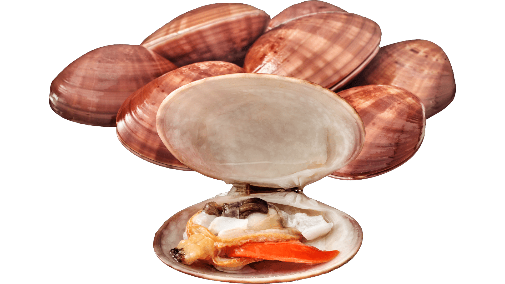 1391_Fasolari