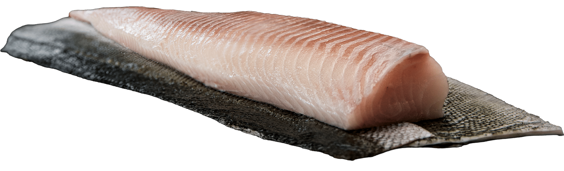 1483_TK_Black-Cod-Filet_mit-Haut