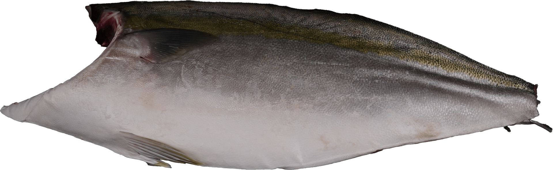 1490_Hamachifilet