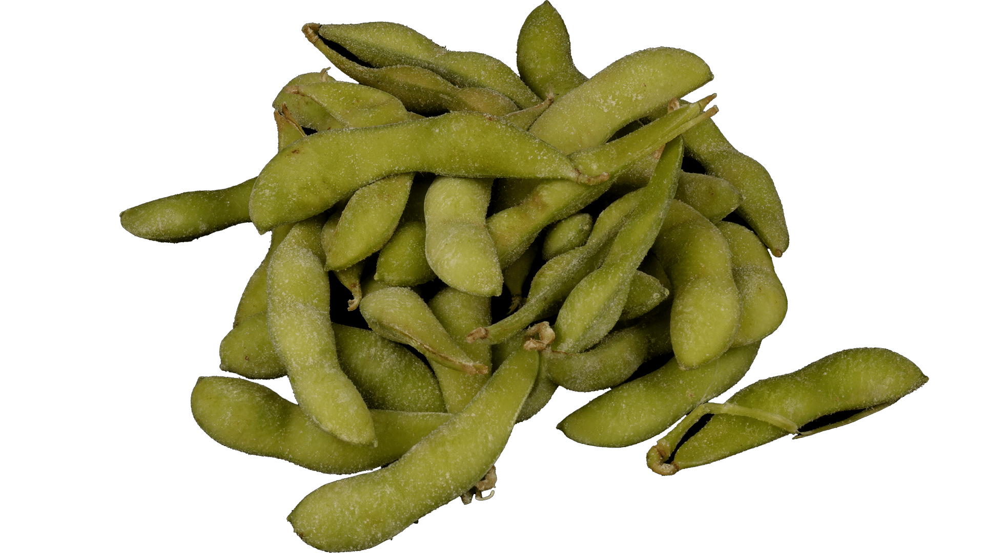 1630_Edamame_Sojaschoten