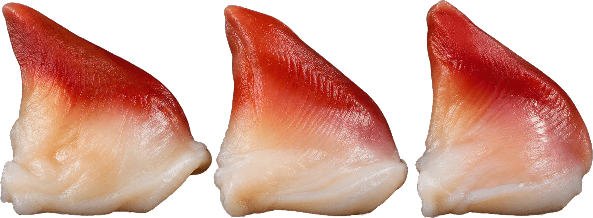 1633_Hokkigai-Trogmuschelfleisch